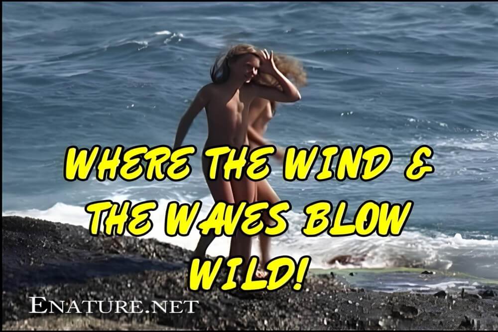 Enature - Where the Wind and the Waves Blow Wild! - Nudists relax beautifully—a sight to behold