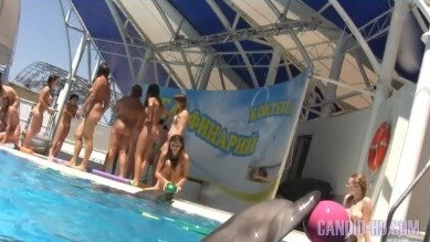 Amazing Dolphin Encounter HD video - Many see bodily freedom as an important value